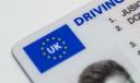  BUY DRIVERS LICENCE ONLINE logo